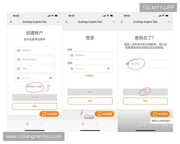 掌握365网站登录技巧，轻松应对账号密码忘记问题